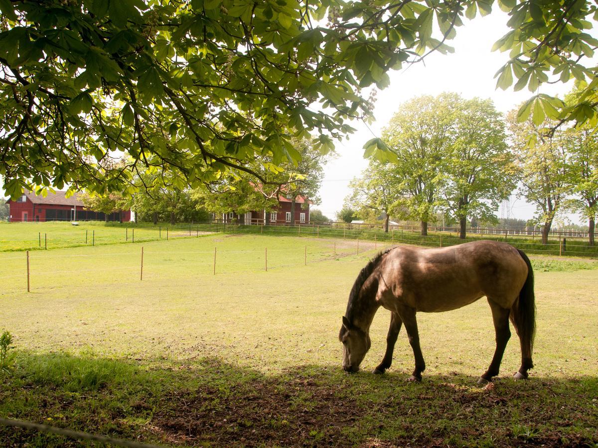 Ekeby I Bro Bed & Breakfast エクステリア 写真